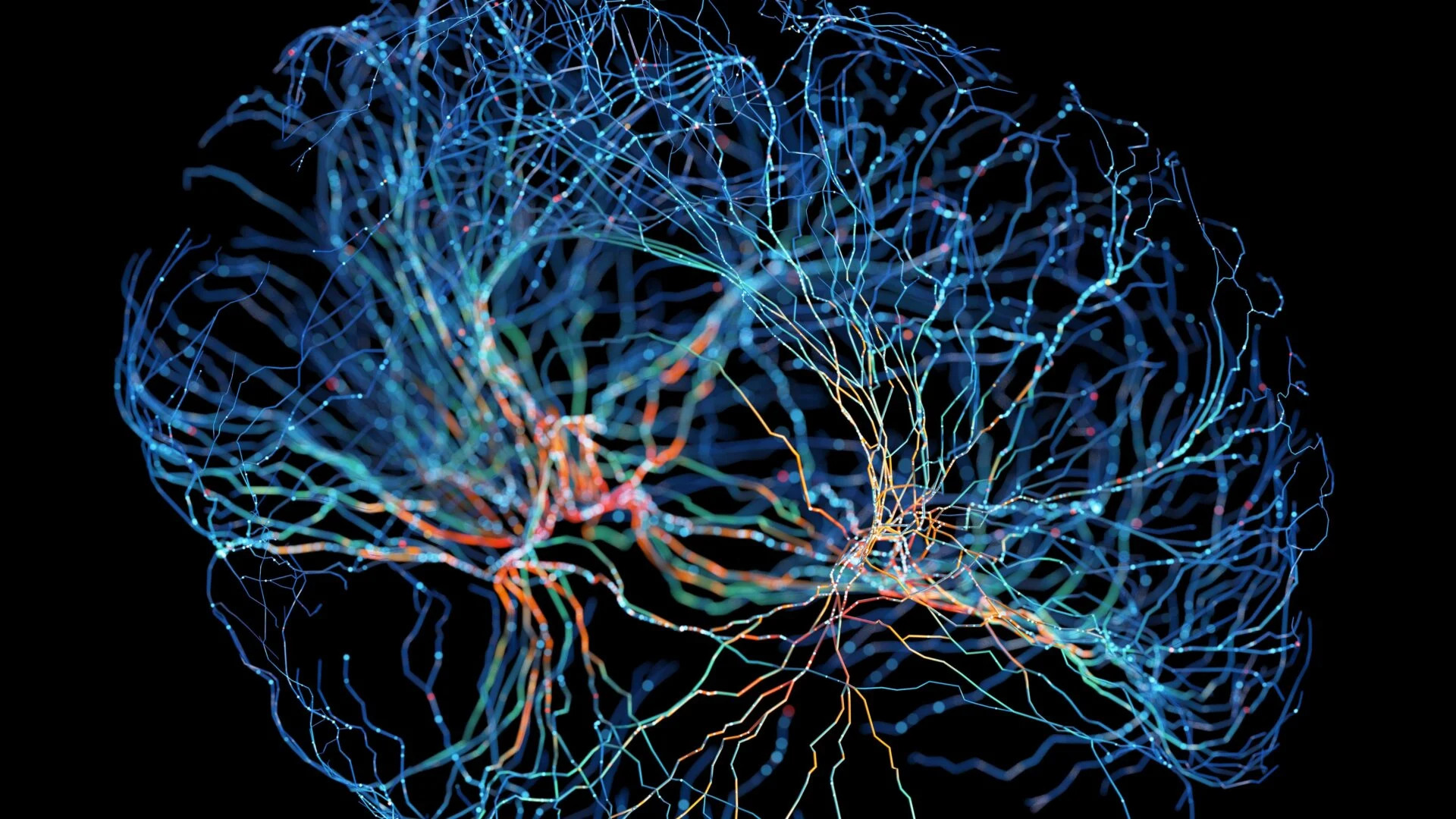 Tecnología Para Lectura Cerebral En Tiempo Real: La Mente Como Interfaz